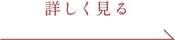 詳しく見る